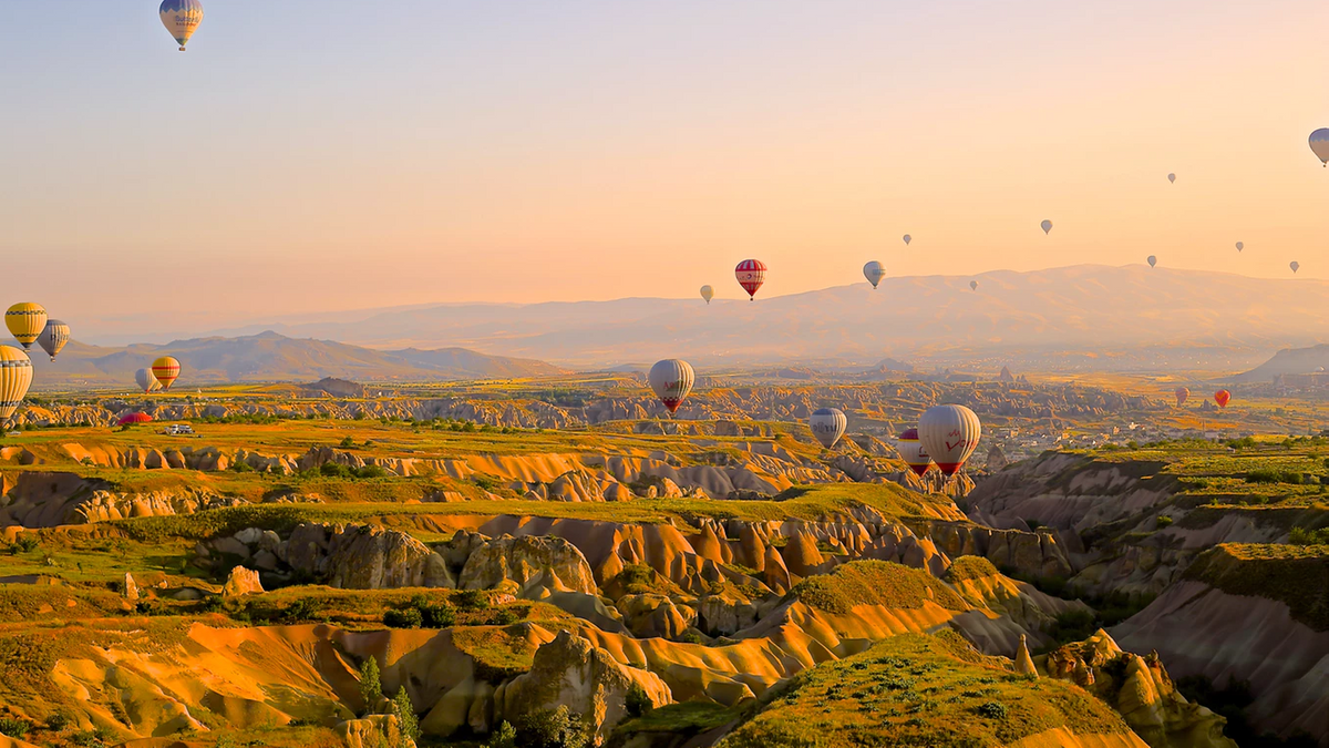 Balloons over landscape