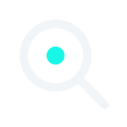 Technical due diligence icon
