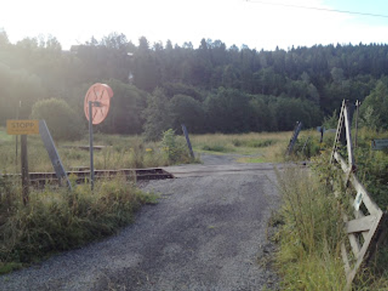 Blog image