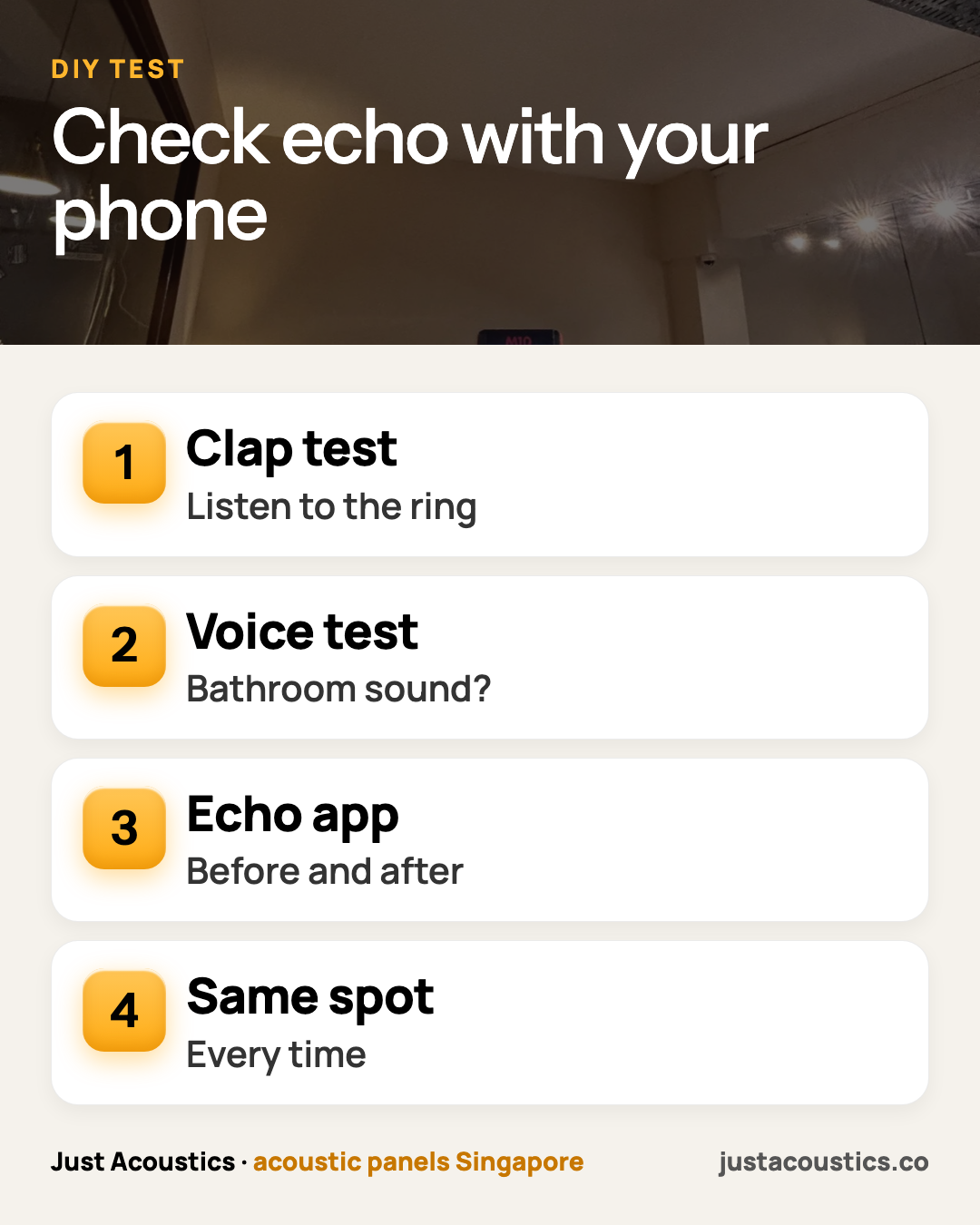 Check echo with your phone infographic