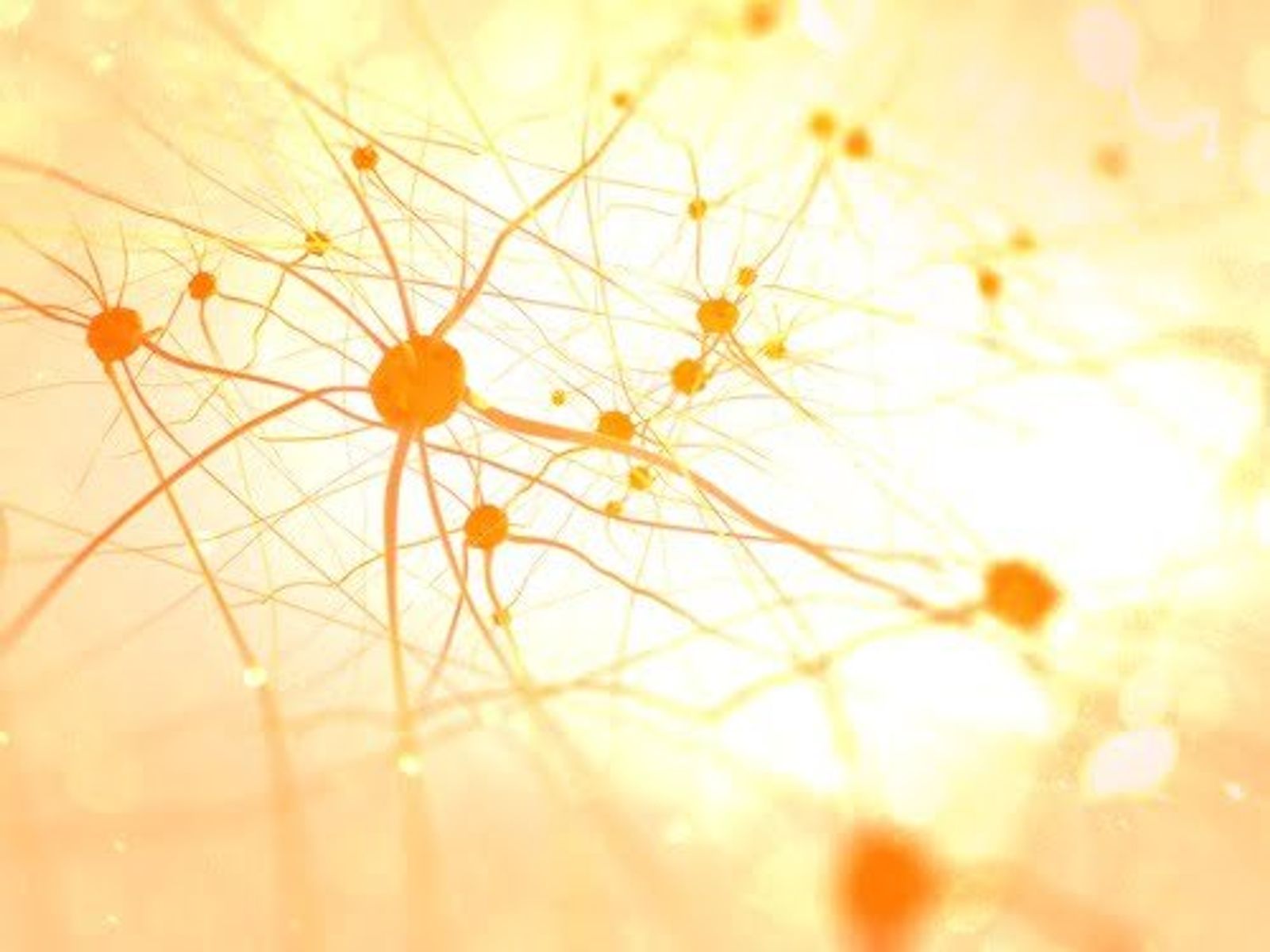 Abstract network diagram with orange spheres connected by lines on warm, blurred background.