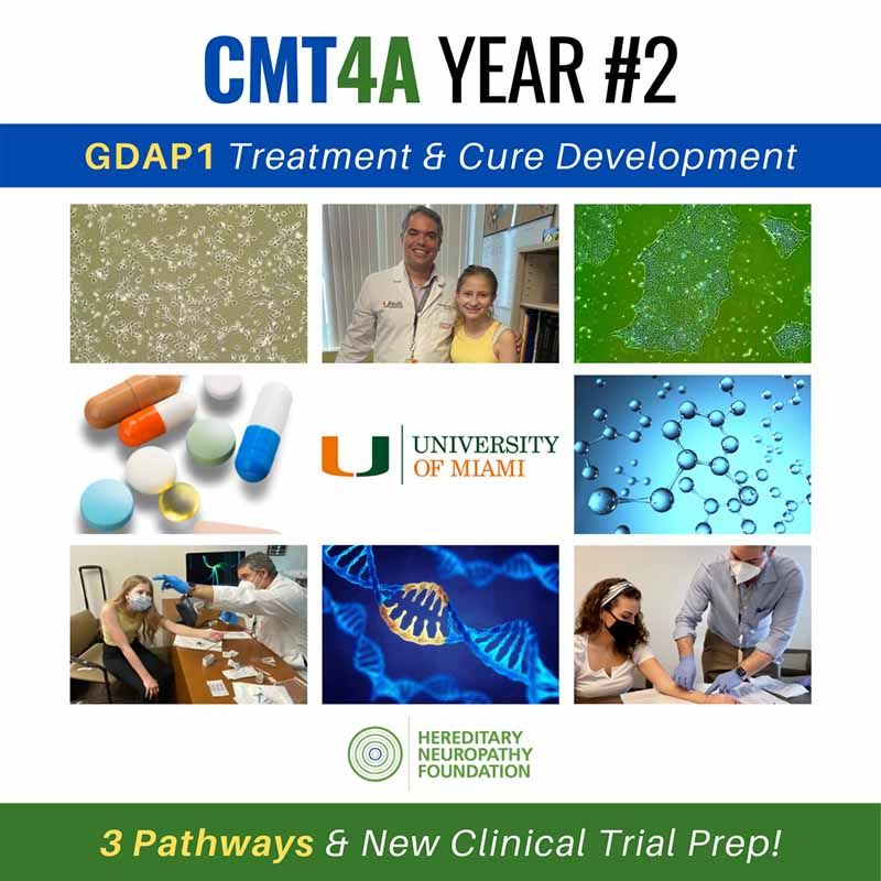 CMT4A Year #2 GDAP1 Treatment & Cure Development at University of Miami research collage.