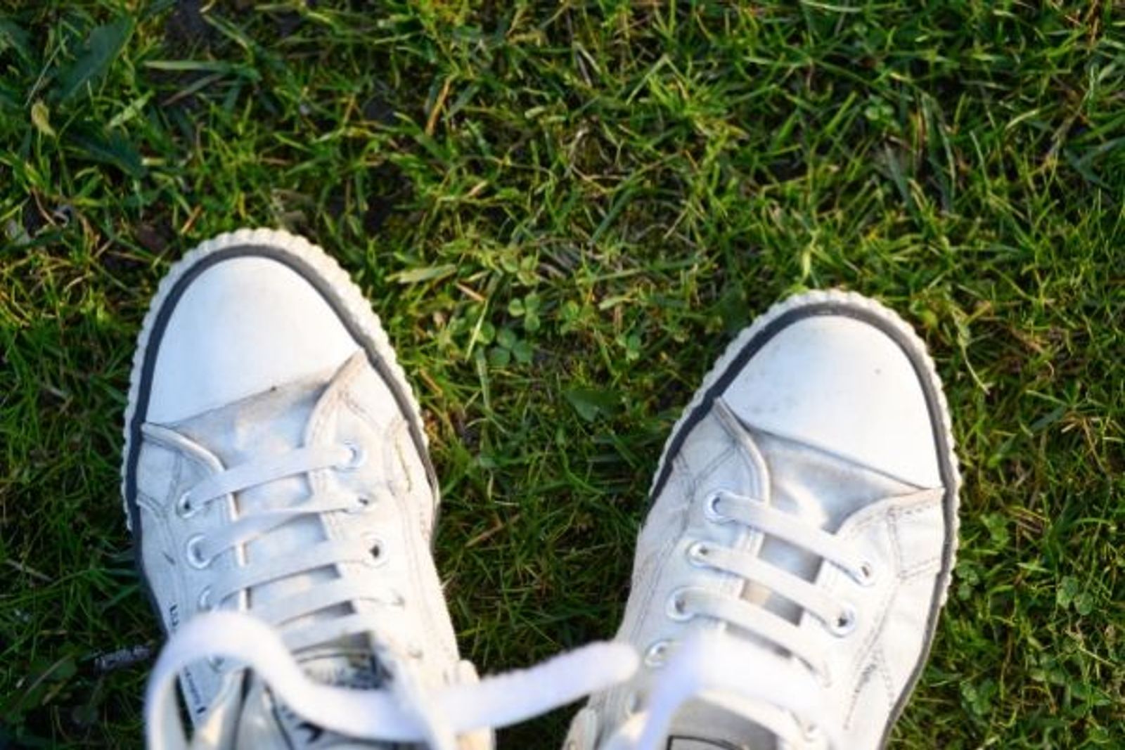White canvas sneakers with laces on green grass, viewed from above.