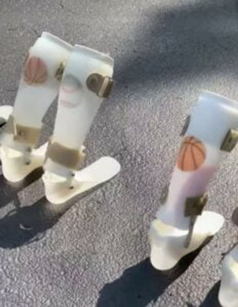 Férulas de Zach