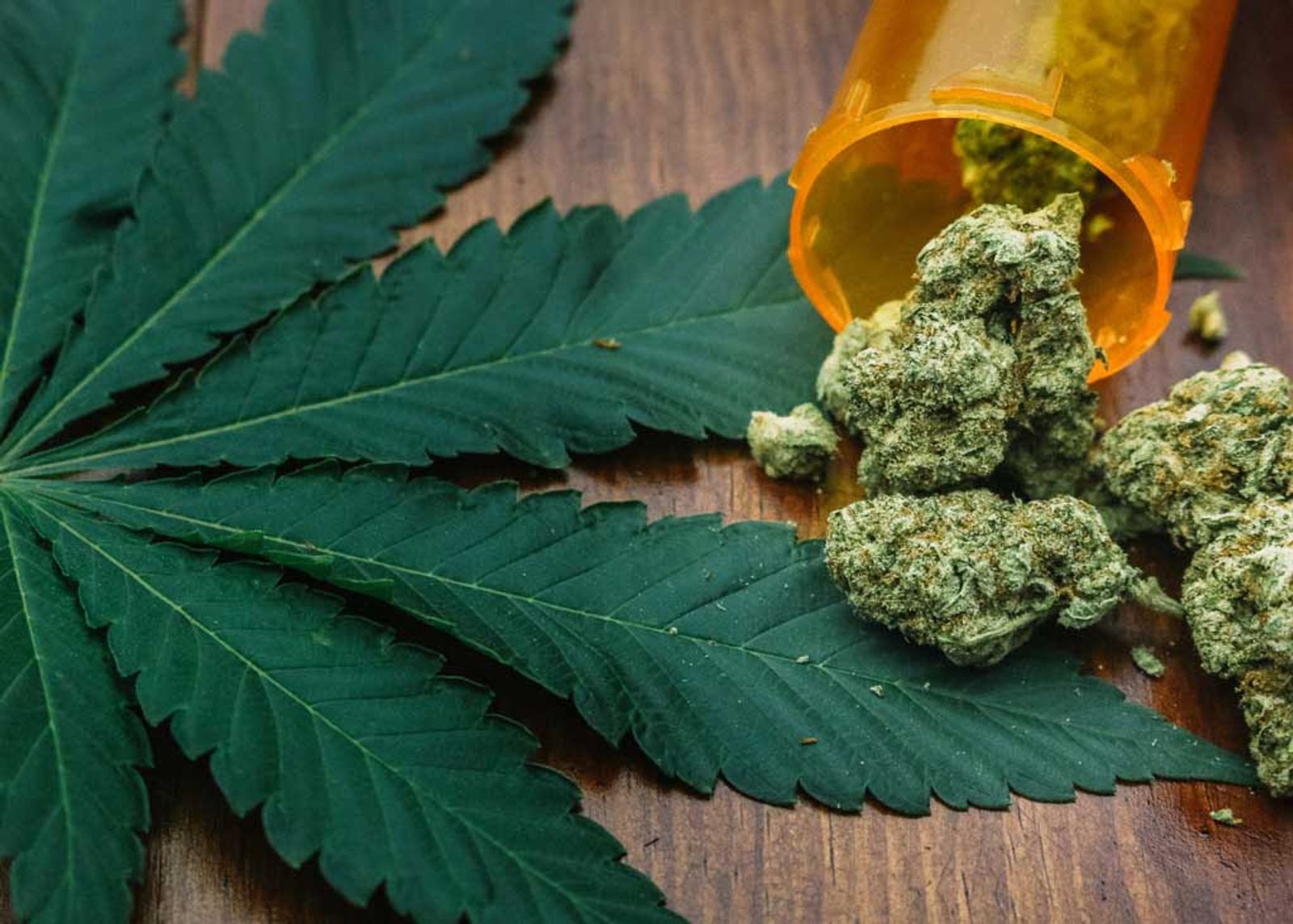 Cogollos de flor de cannabis derramándose de un frasco de medicamento recetado de color naranja junto a una hoja verde de cannabis sobre una superficie de madera.
