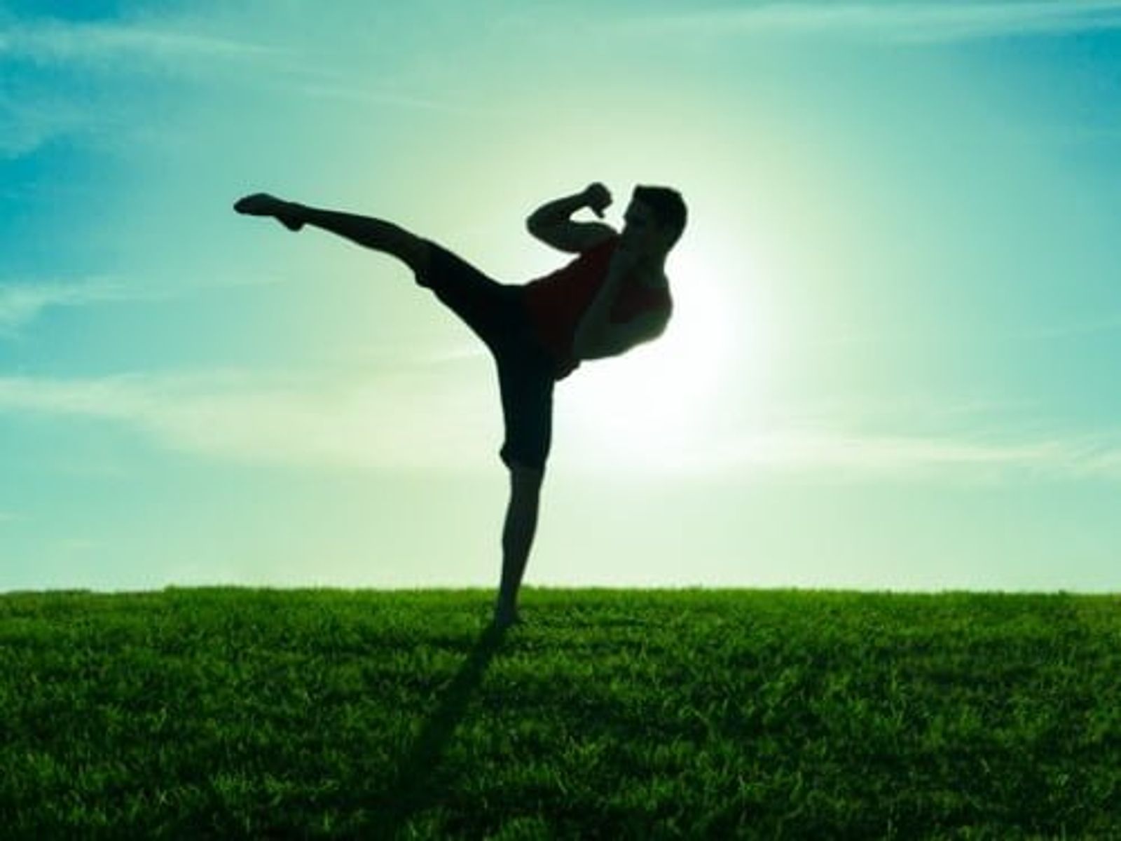 Silhouette of person performing high kick on grass field against blue sky