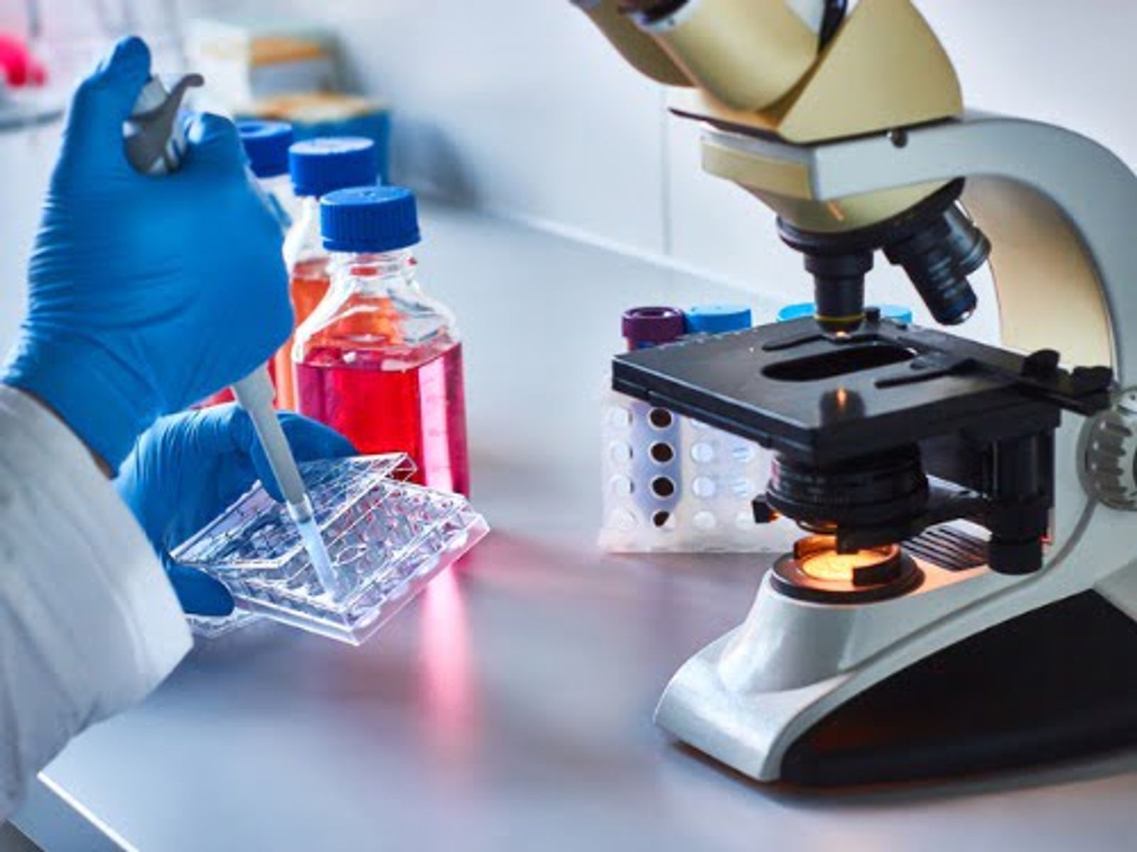 Laboratory technician in blue gloves conducting microscopy work with samples and reagents.