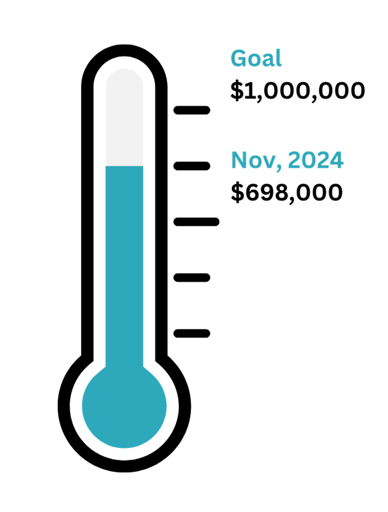 Thermometer showing fundraising progress of $698,000 toward $1,000,000 goal as of November 2024.