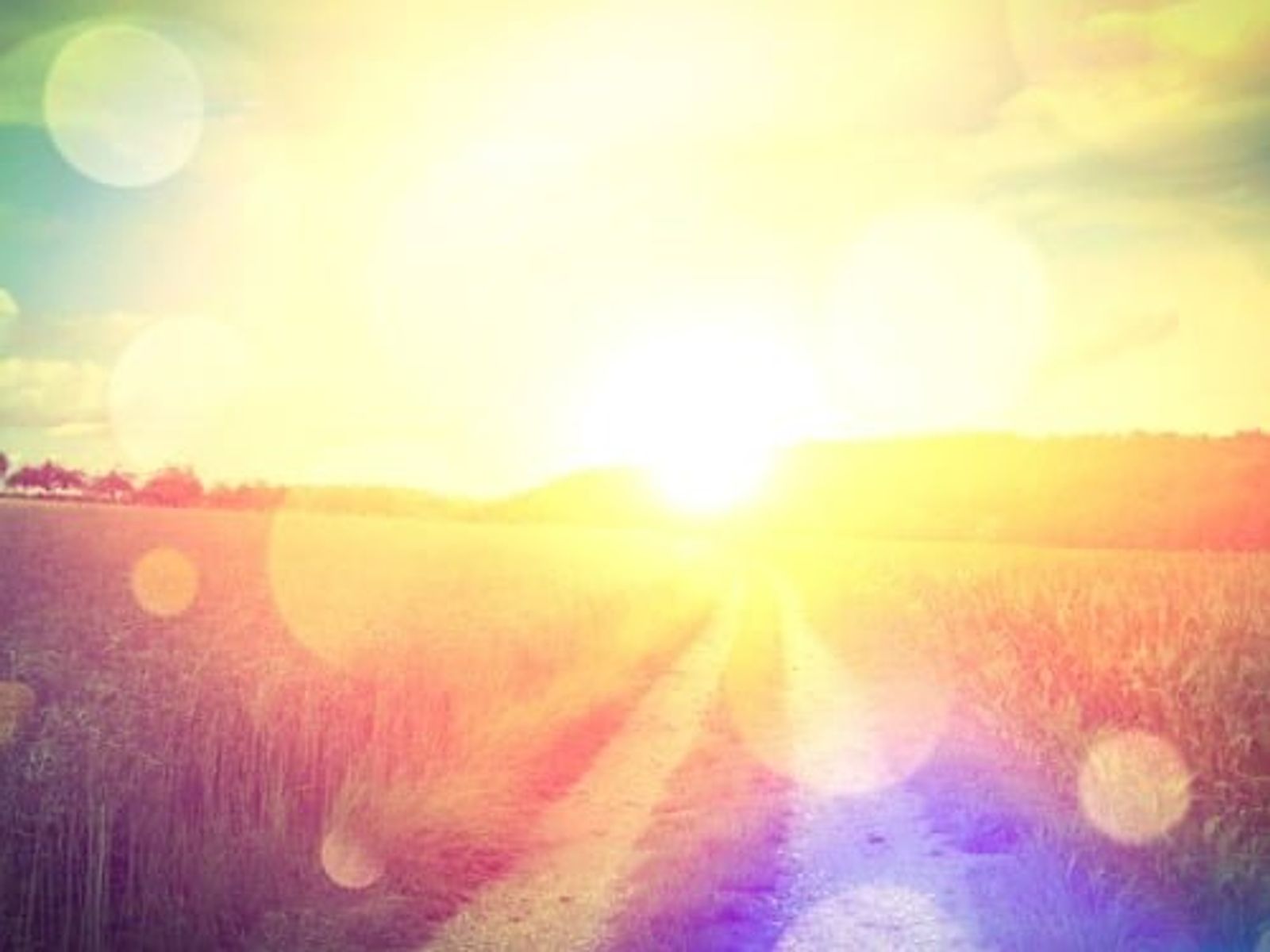 Sunset over a rural field with a dirt path, lens flares, and warm golden light.