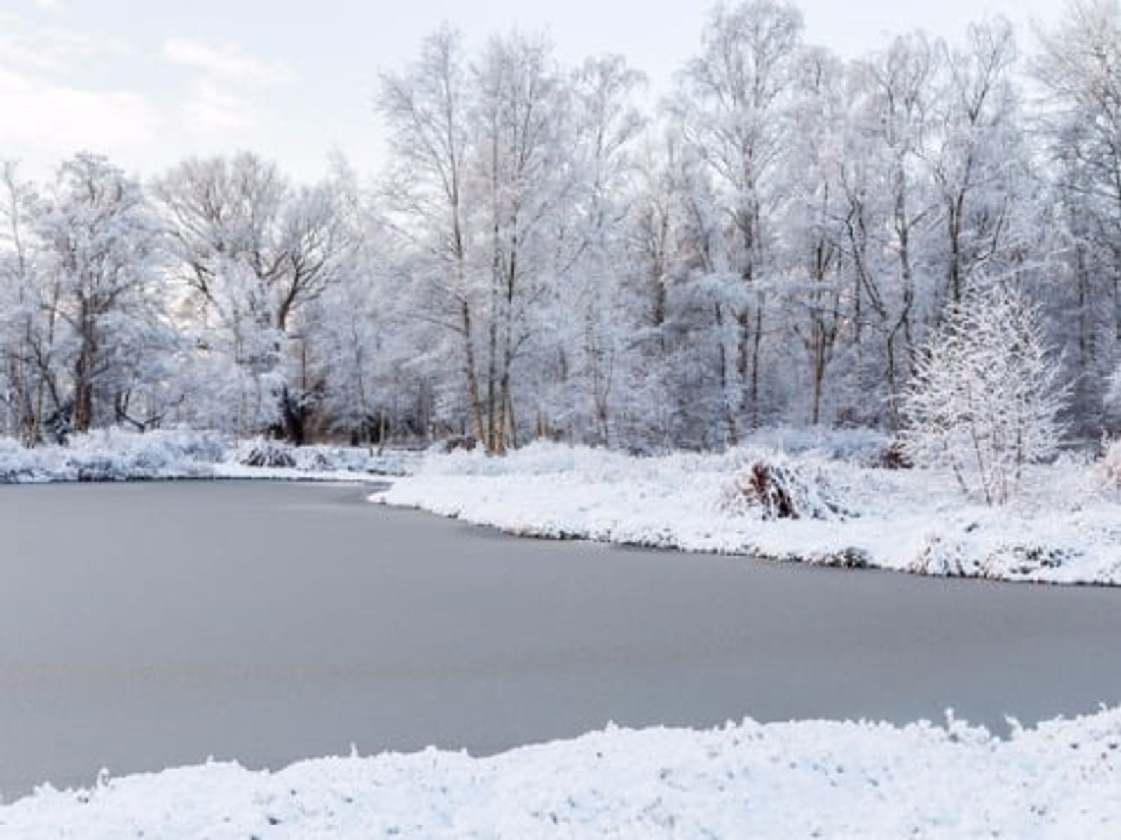 Frozen river lined with snow-covered trees on a winter day.
