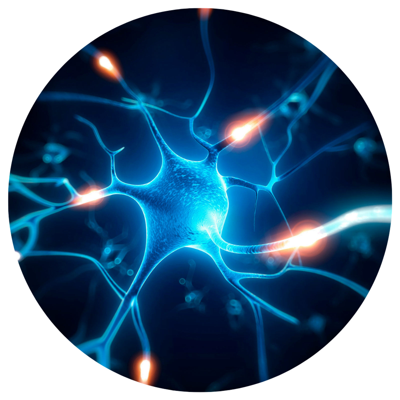 Stylized neuron with glowing blue branches and orange synaptic connections on dark background.