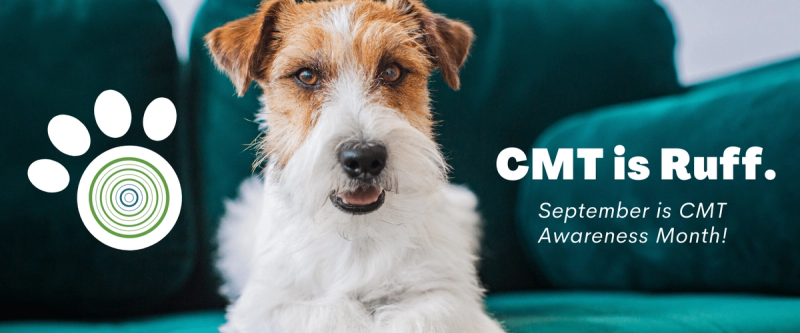 Terrier dog on teal couch with paw print logo and text "CMT is Ruff. September is CMT Awareness Month!"