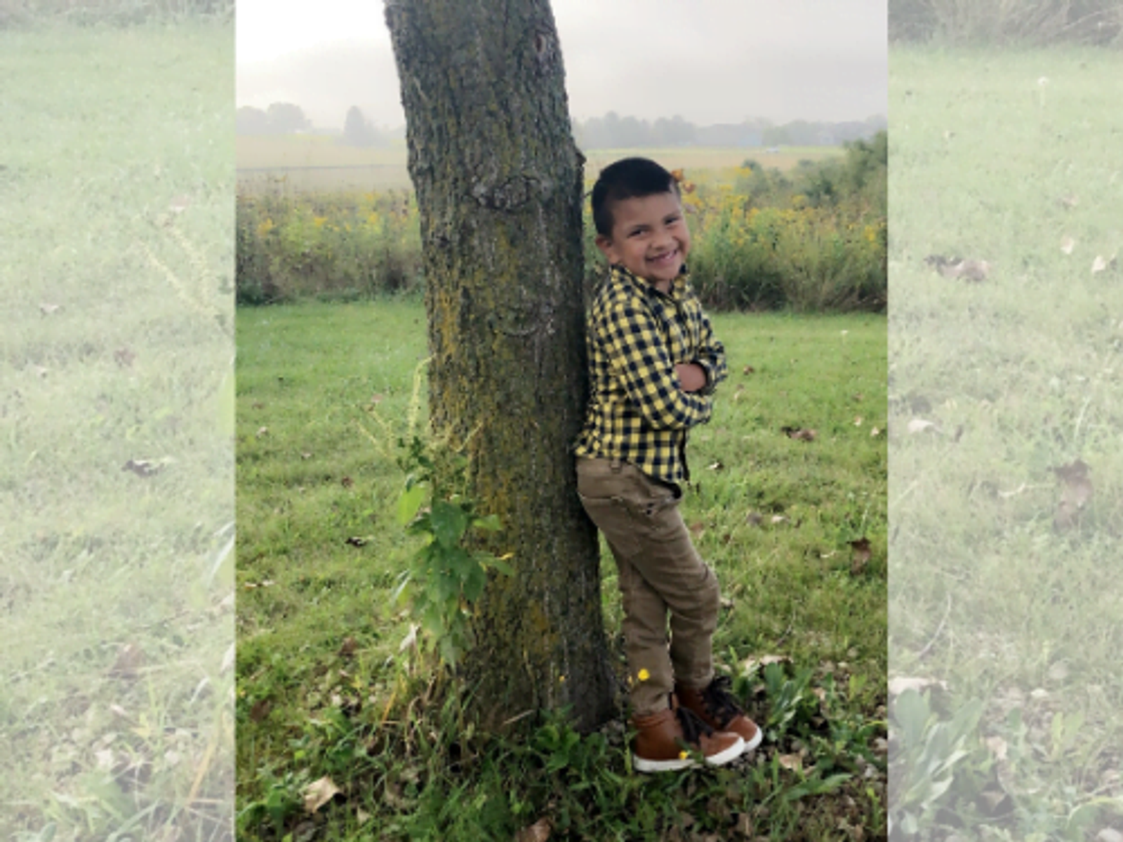 Young boy in checkered shirt peeking around moss-covered tree in rural field.
