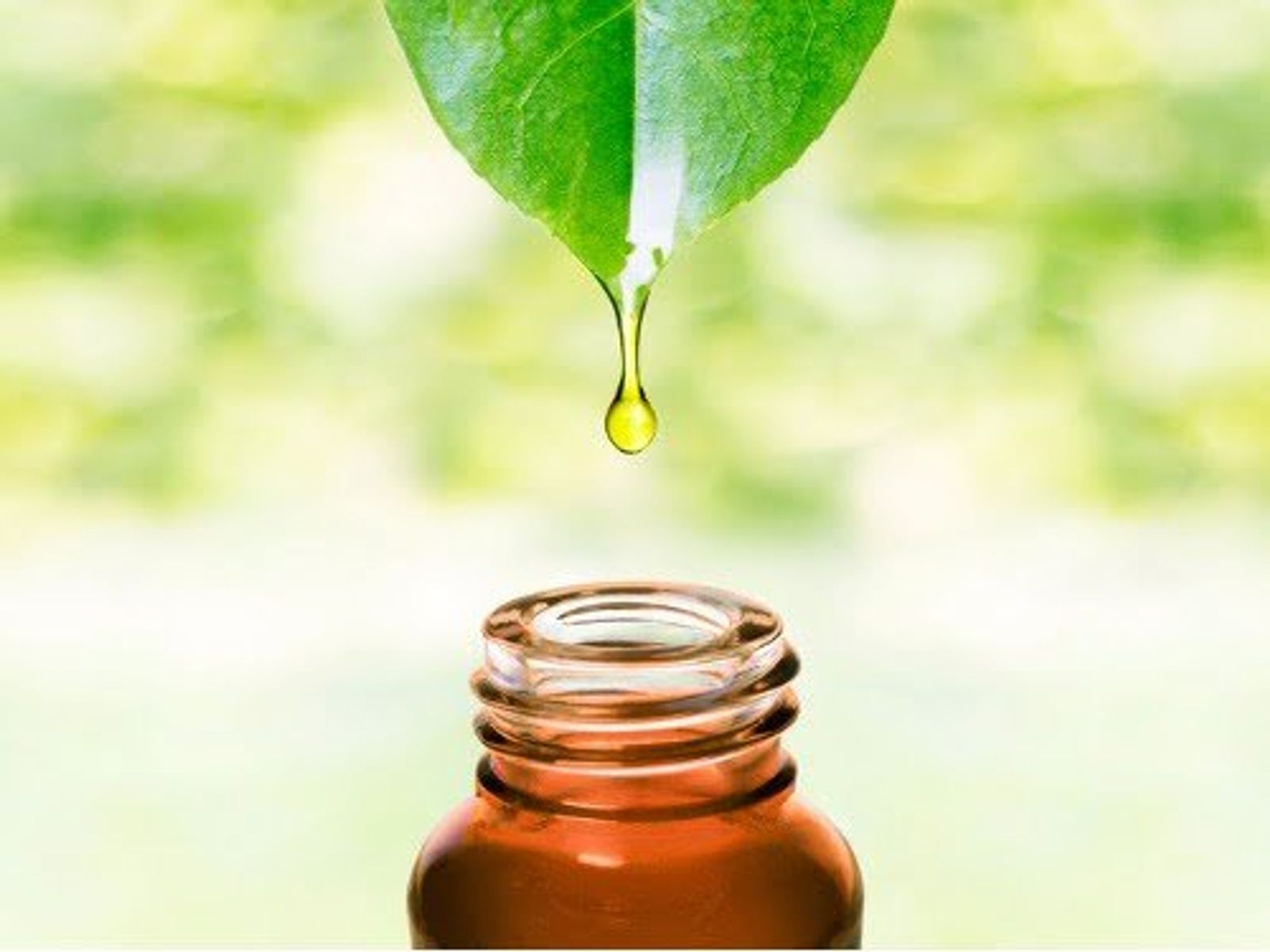 Drop of essential oil falling from green leaf into amber bottle against blurred green background.