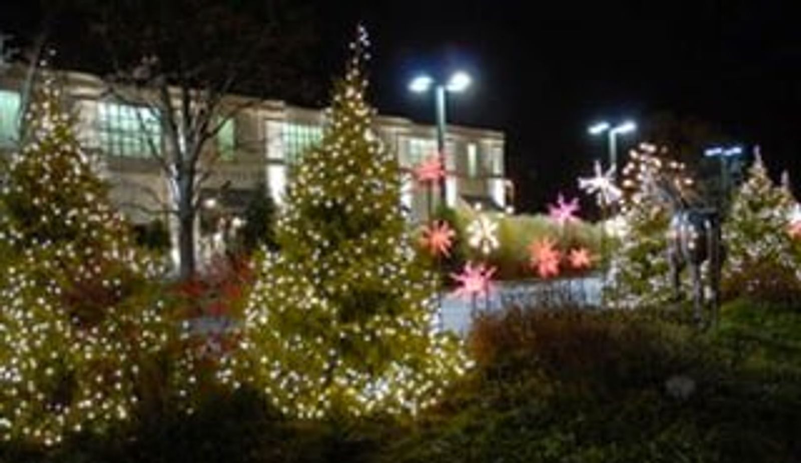 Nighttime holiday display with illuminated evergreen trees and decorative snowflake ornaments near lit buildings.