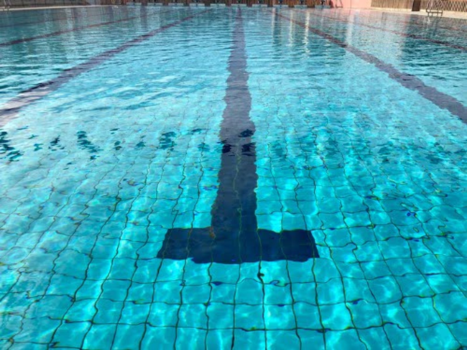 Piscina olímpica con separadores de carriles y agua azul cristalina.