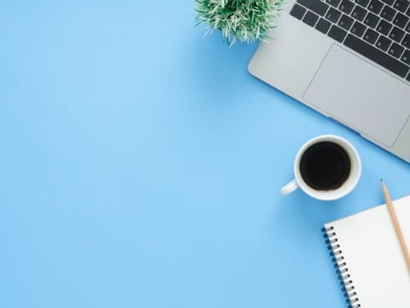 Laptop, coffee cup, notebook, pen, and small plant on blue desk surface.