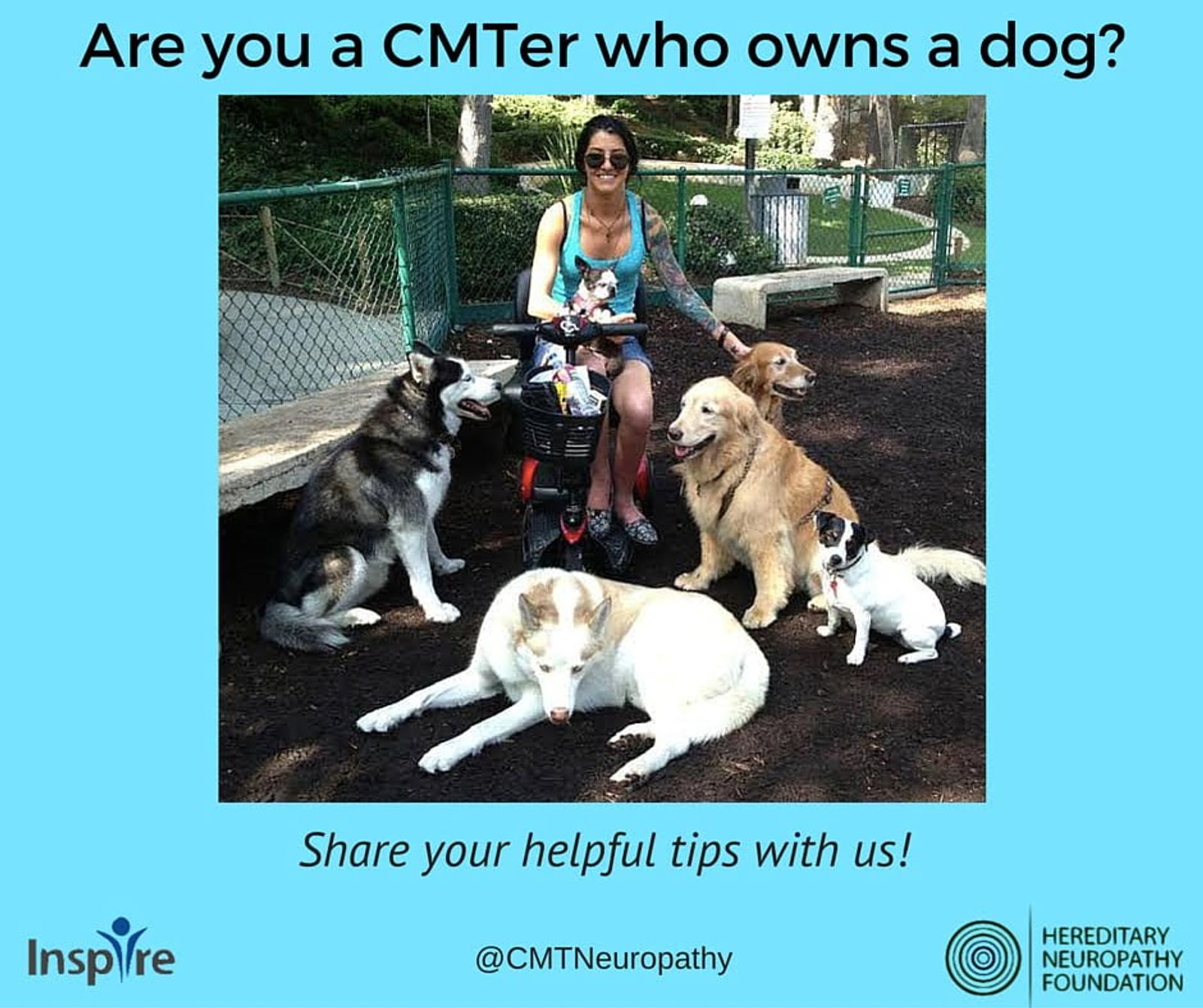 Woman with four dogs of various sizes in fenced dog park area.