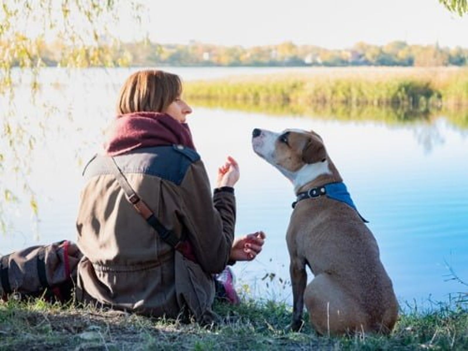 Mujer sentada junto a un lago con un perro que lleva un collar azul, mirándose el uno al otro.