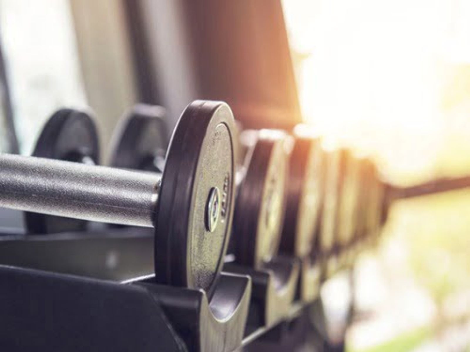 Row of dumbbells on a rack in a gym, shallow focus with warm lighting.