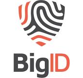 Bigid 1