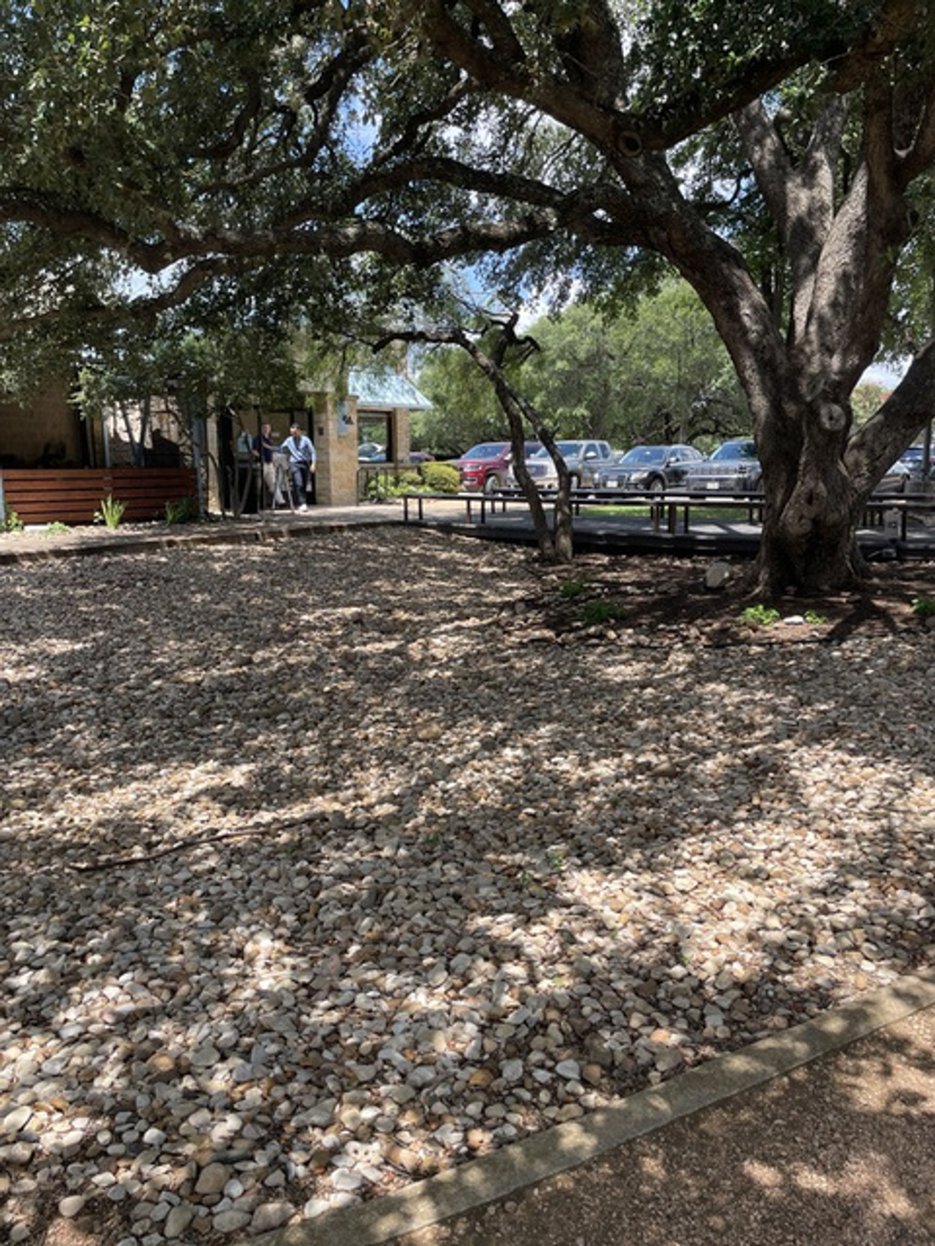 Kerbey Lane Cafe front patio before turf — bare gravel and dirt