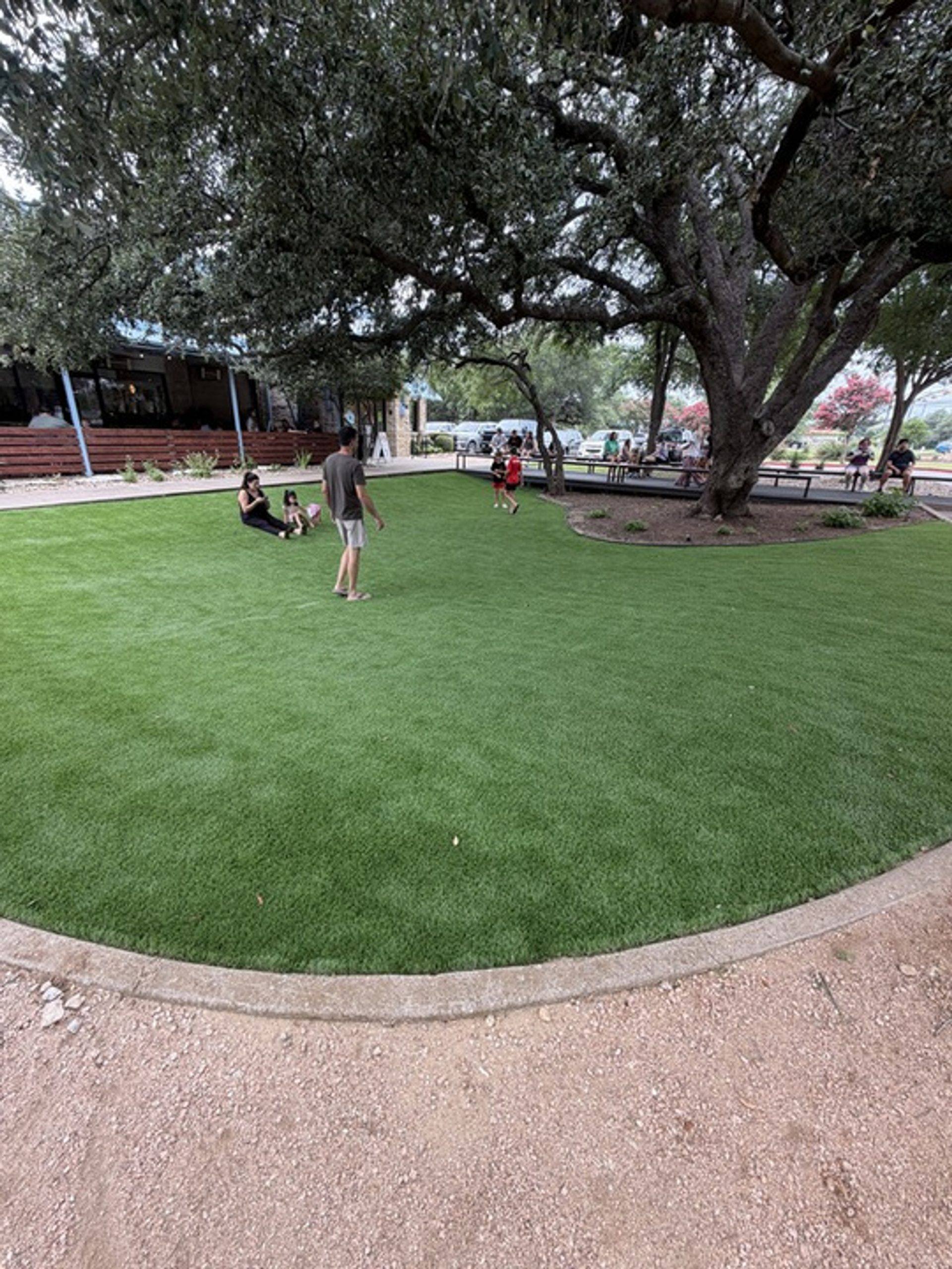 Lush green artificial turf patio at Kerbey Lane Cafe beneath a live oak