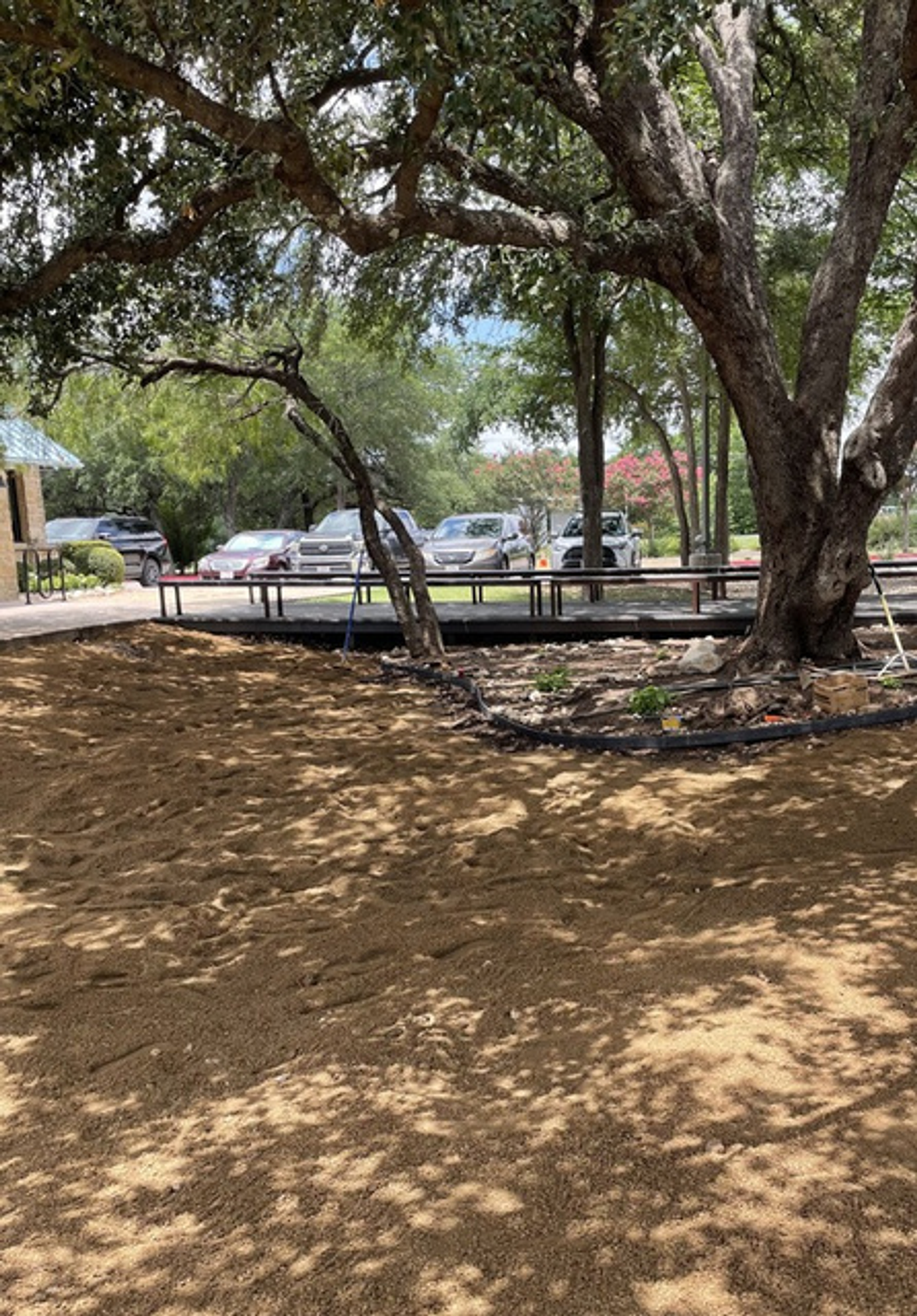 Kerbey Lane Cafe patio during installation — graded base ready for turf