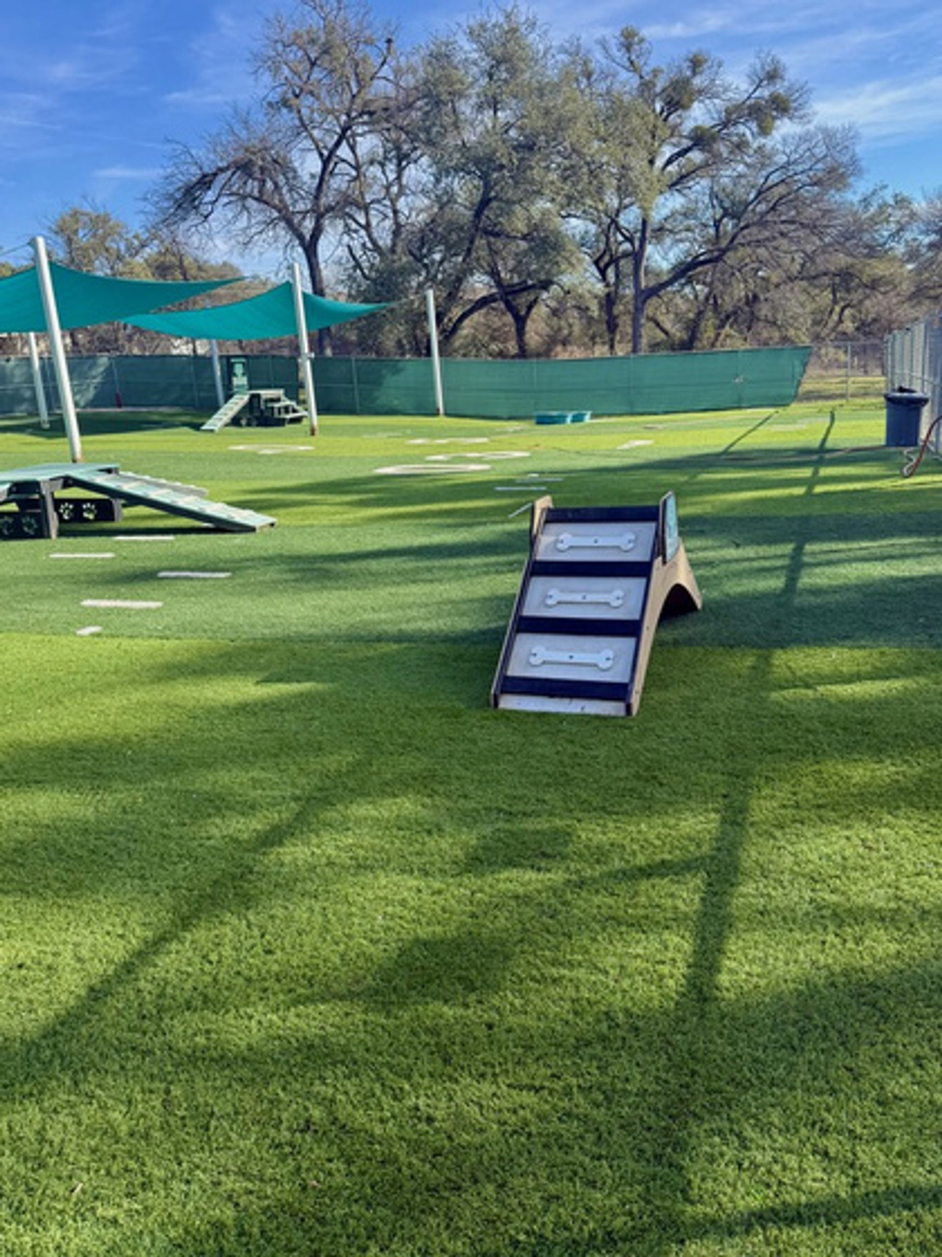 Pet-friendly artificial turf dog park with agility ramps at Pups & Pals Pet Lounge in Oak Hill