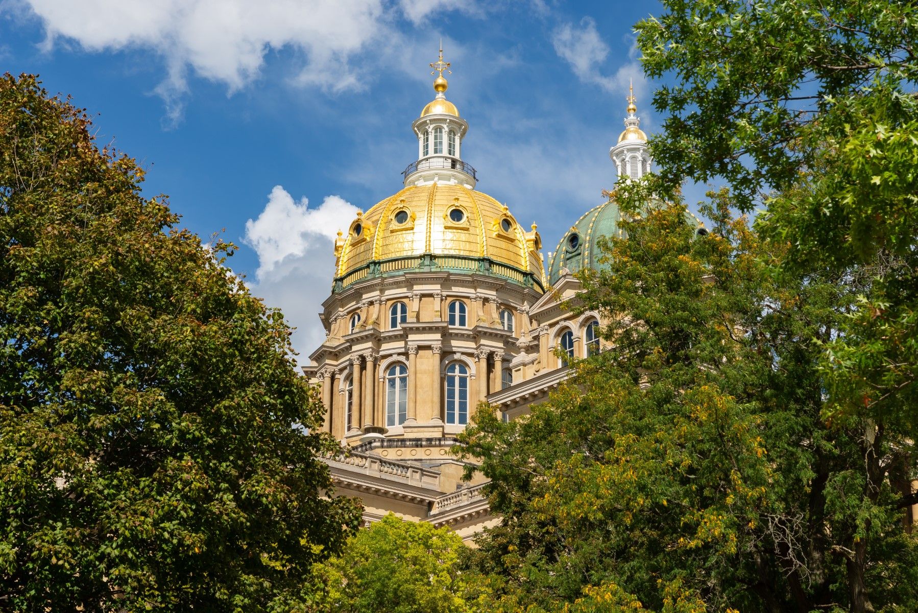 Iowa expert witness rules what litigators need to know