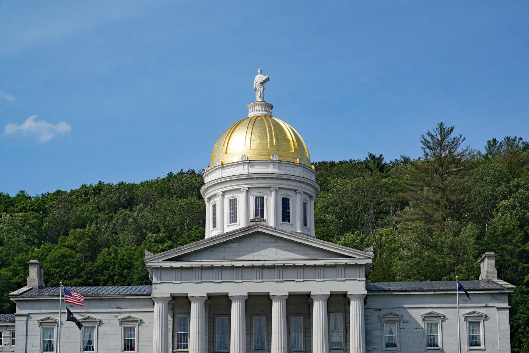 Vermont Expert Witness Disclosure Requirements