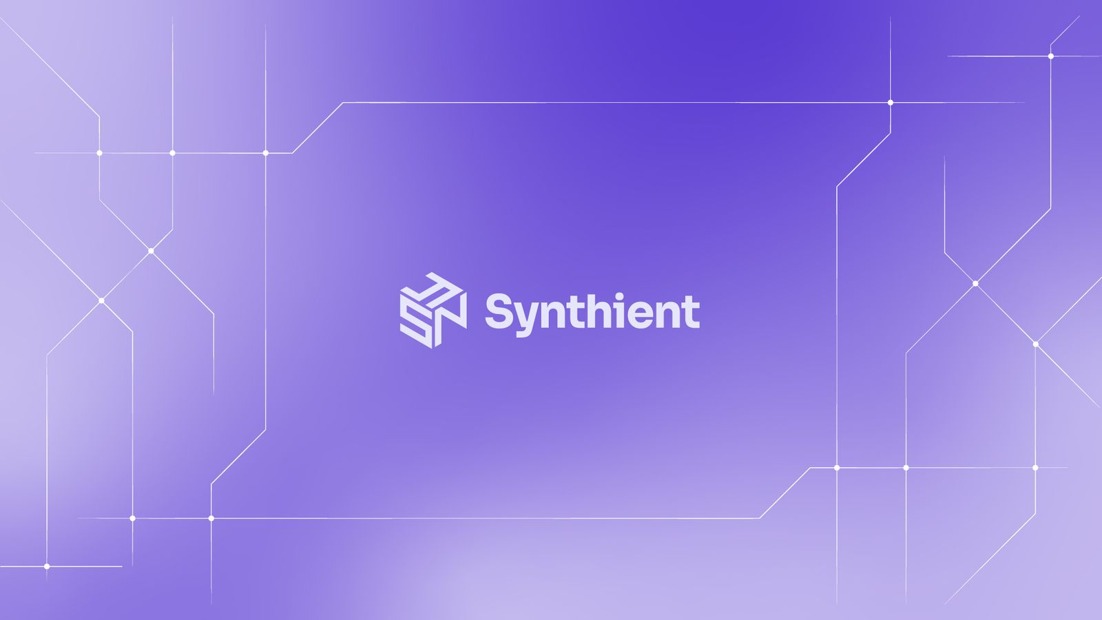 Synthient Banner