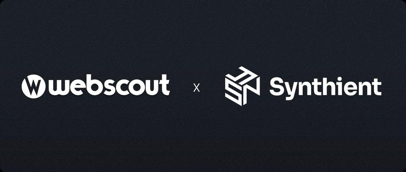 Webscout x Synthient
