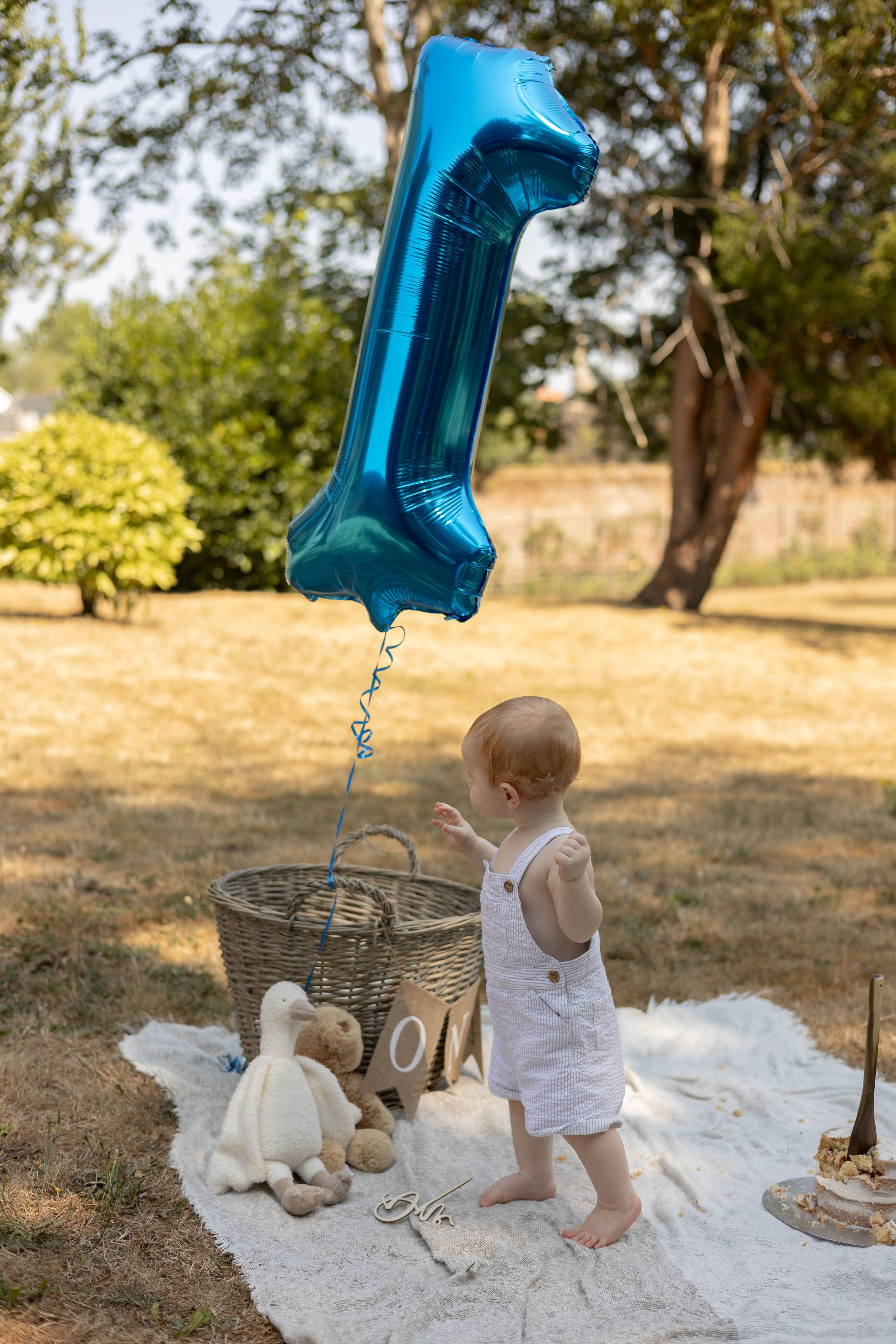Brodie's first birthday 