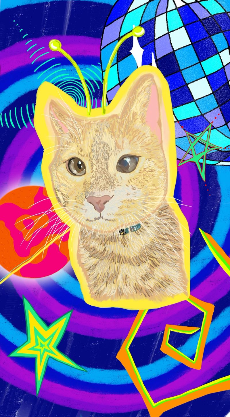 Obi the cat painting