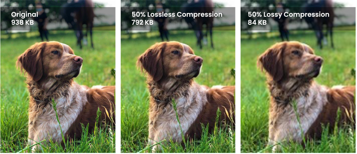 Example showing the difference between original vs 50% lossless compression vs 50% lossy compression.