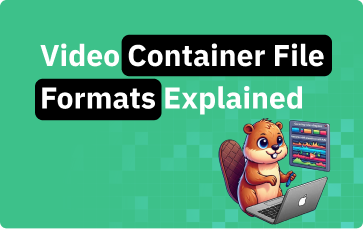 Video Container File Formats: A Developer’s Guide