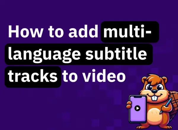 How to add multi-language subtitle tracks to your video