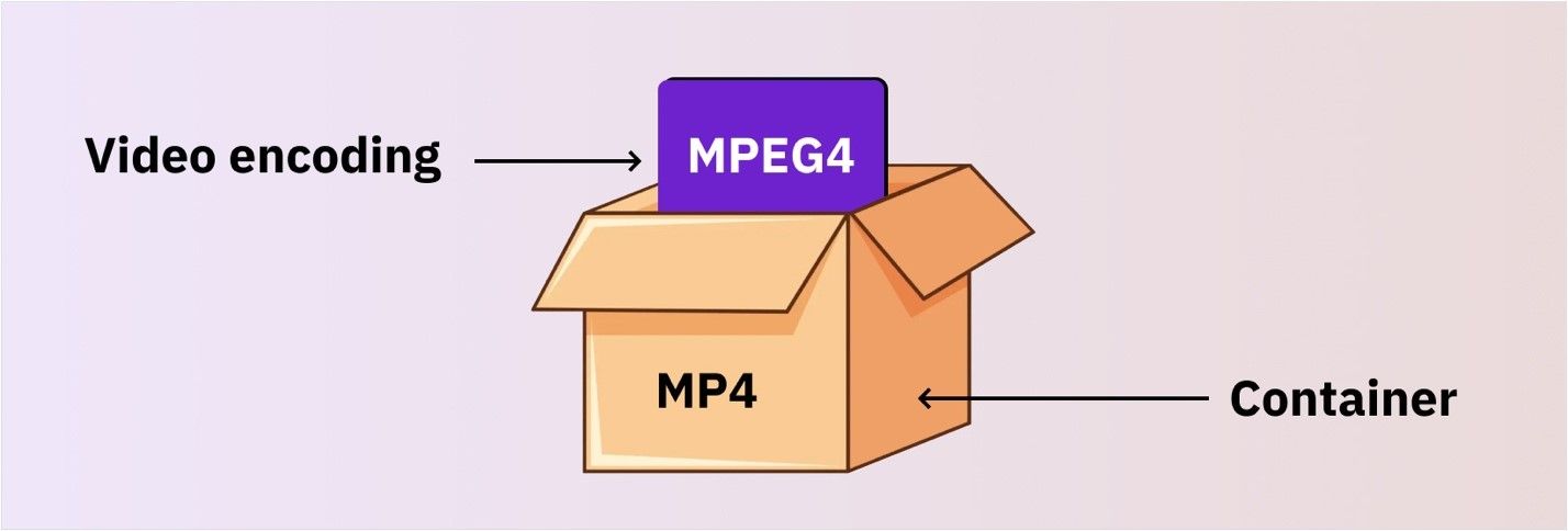 MPEG4 vs. MP4 - What's the Difference?