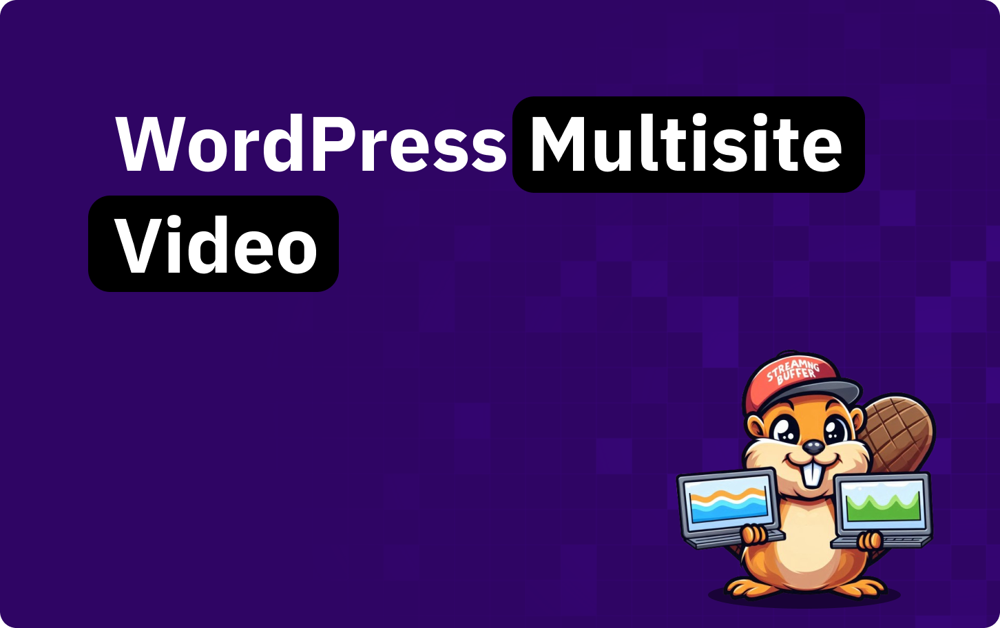 Running video on WordPress Multisite, per site and not network wide