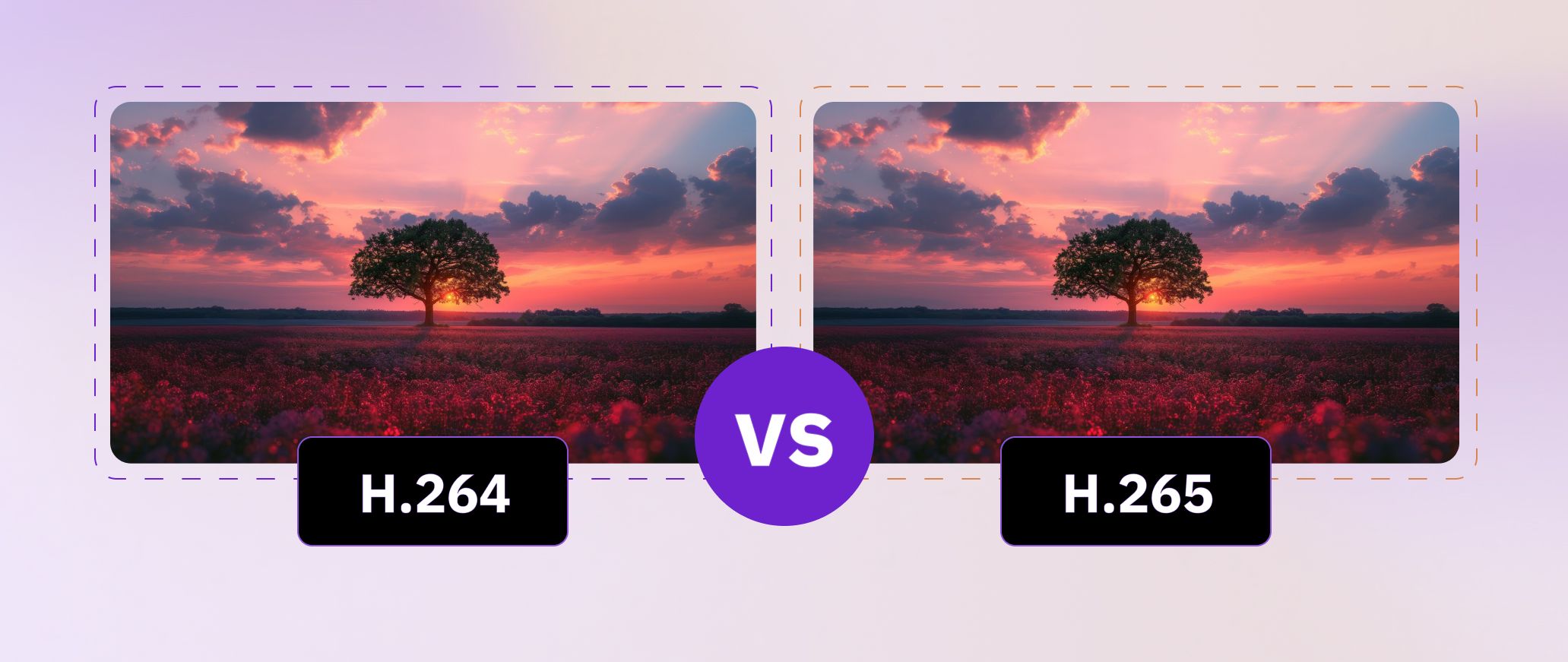 AVC (H.264) and HEVC (H.265)