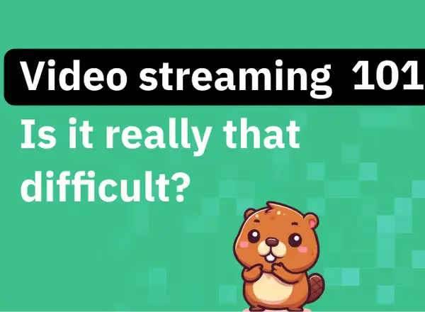 What is Video Streaming? Is it Really Hard to Stream Videos Online?