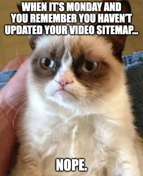 Tired cat meme about sitemap updates.