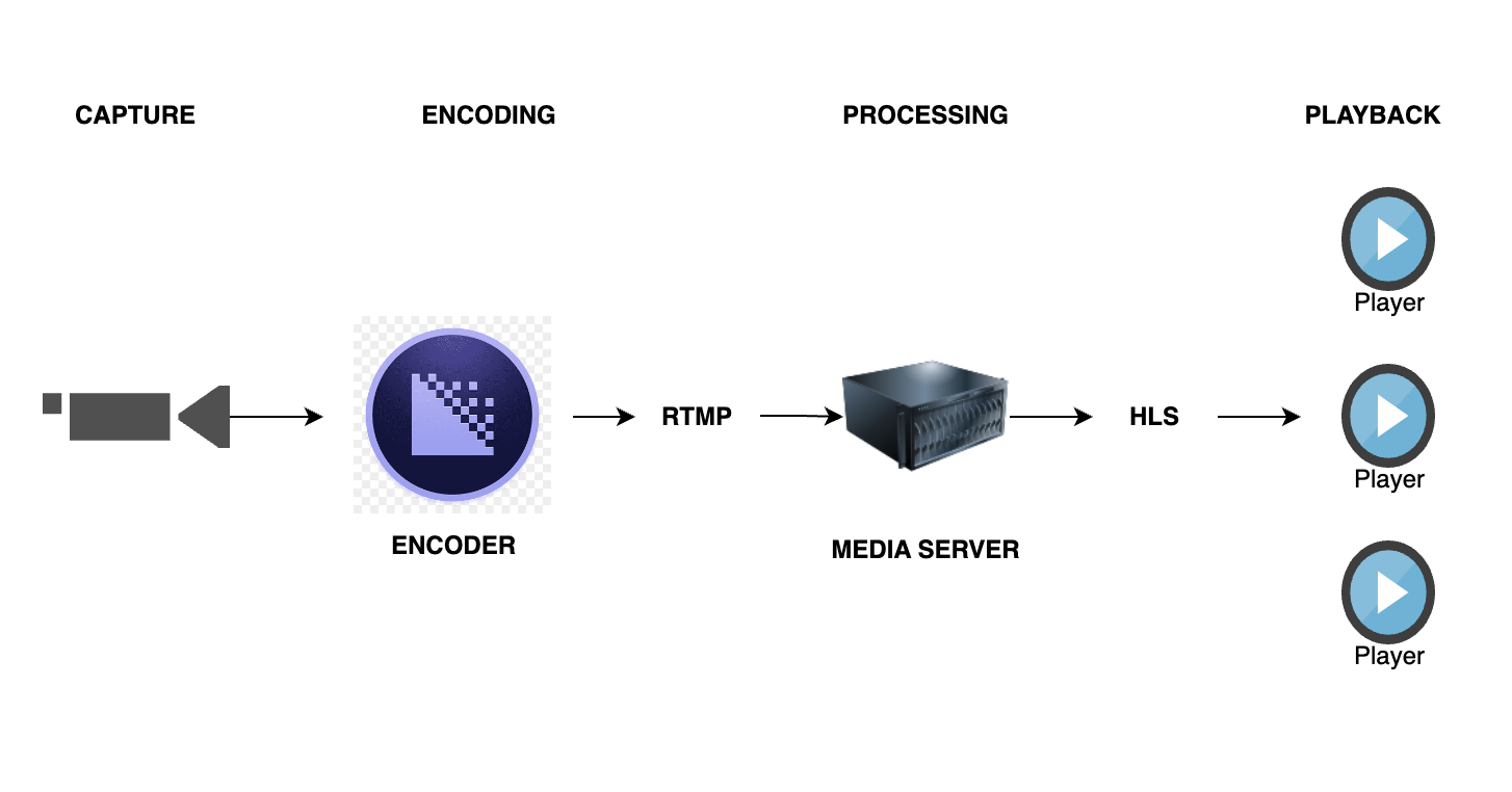 How HLS protocol works in live video streaming: Workflow