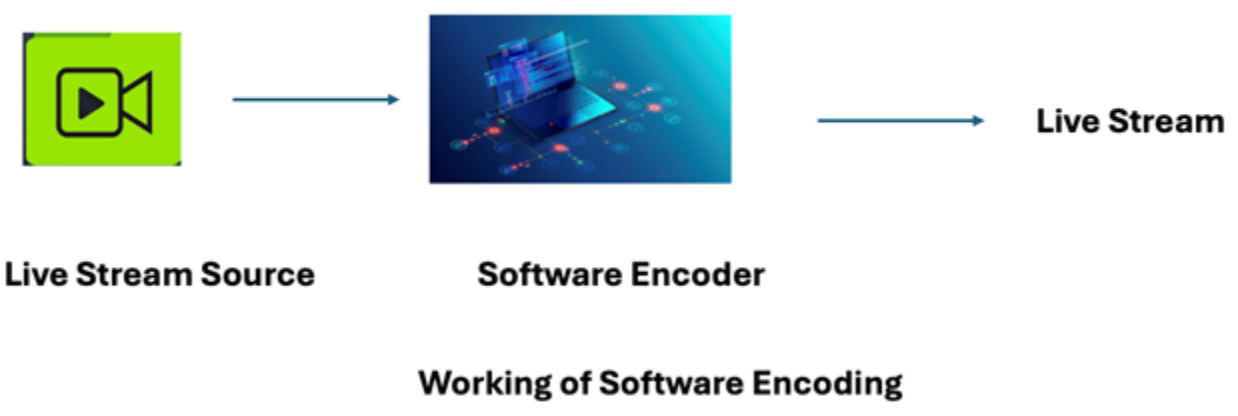 Working of Software Encoding