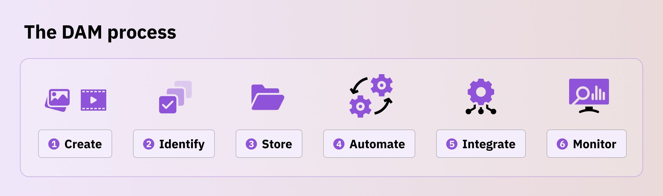 How does digital asset management (DAM) works 