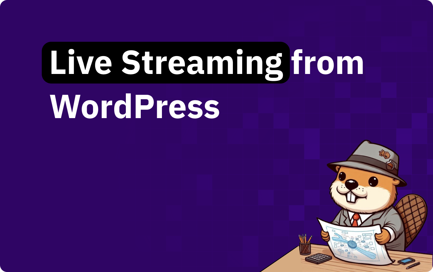 Live streaming from WordPress with RTMPS and SRT