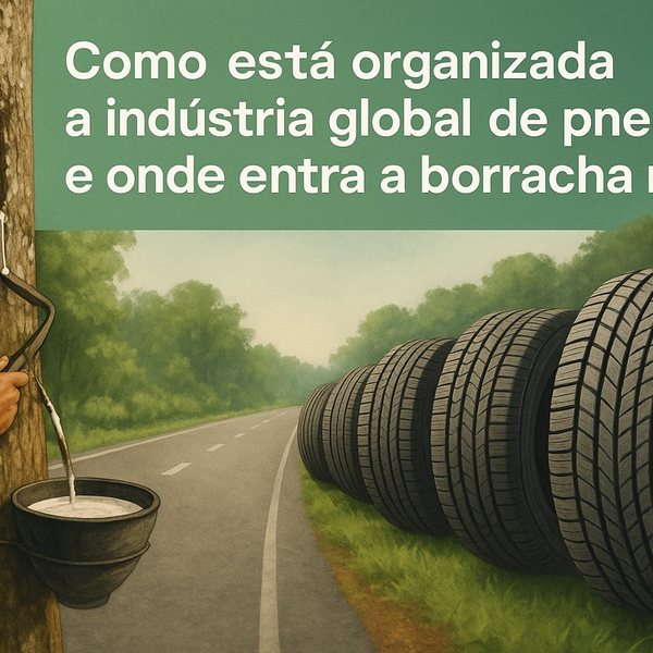 Como está organizada a indústria global de pneus