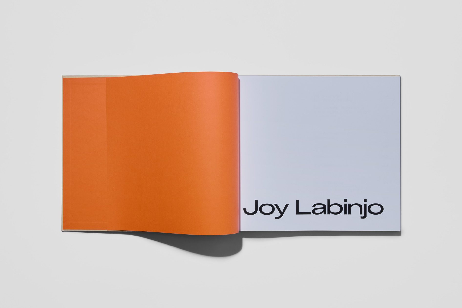 Joy Labinjo monograph 