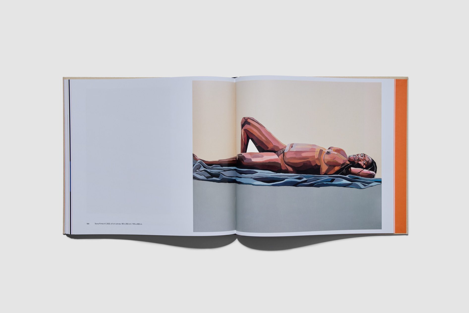 Joy Labinjo monograph 